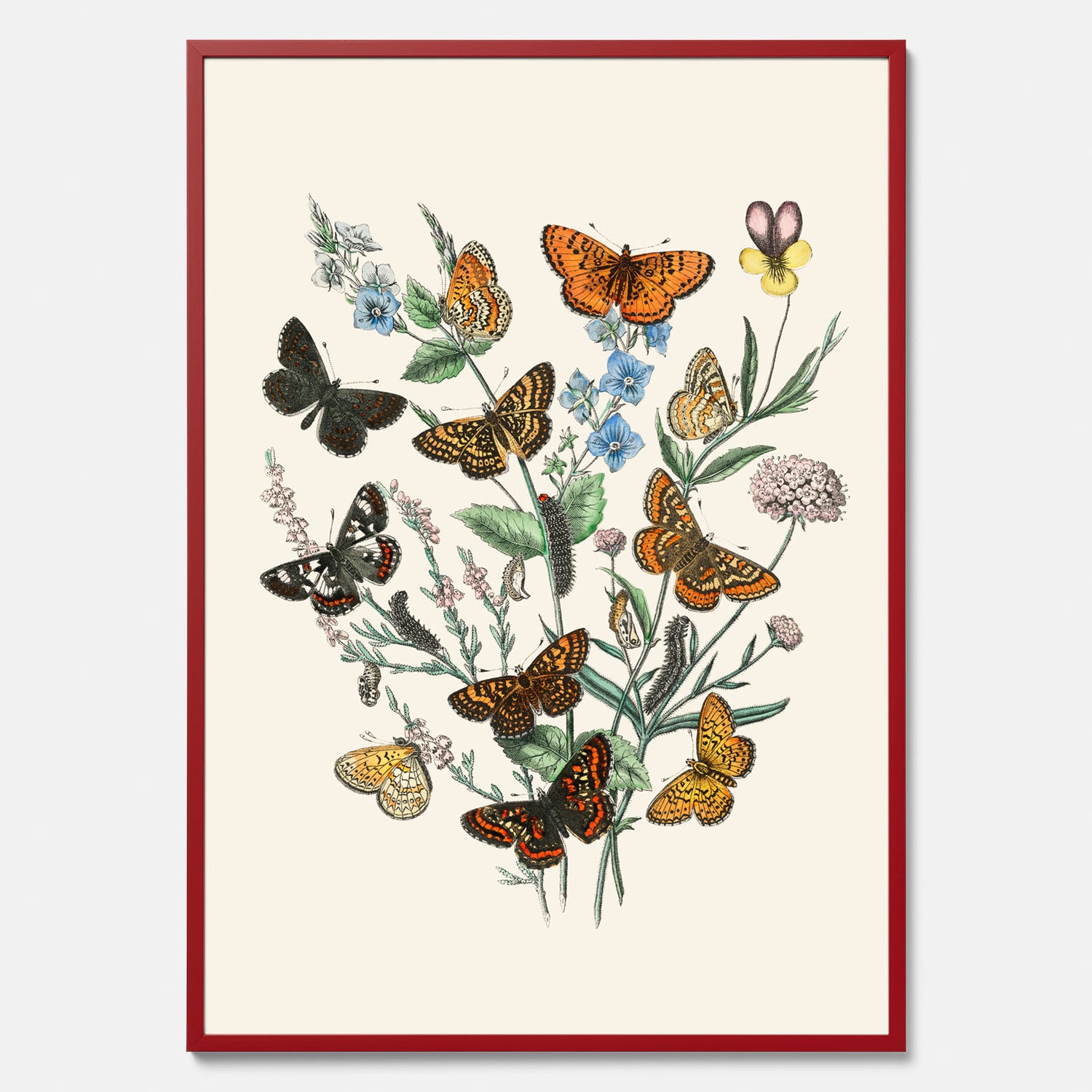 Poster med en illustration av fjärilar