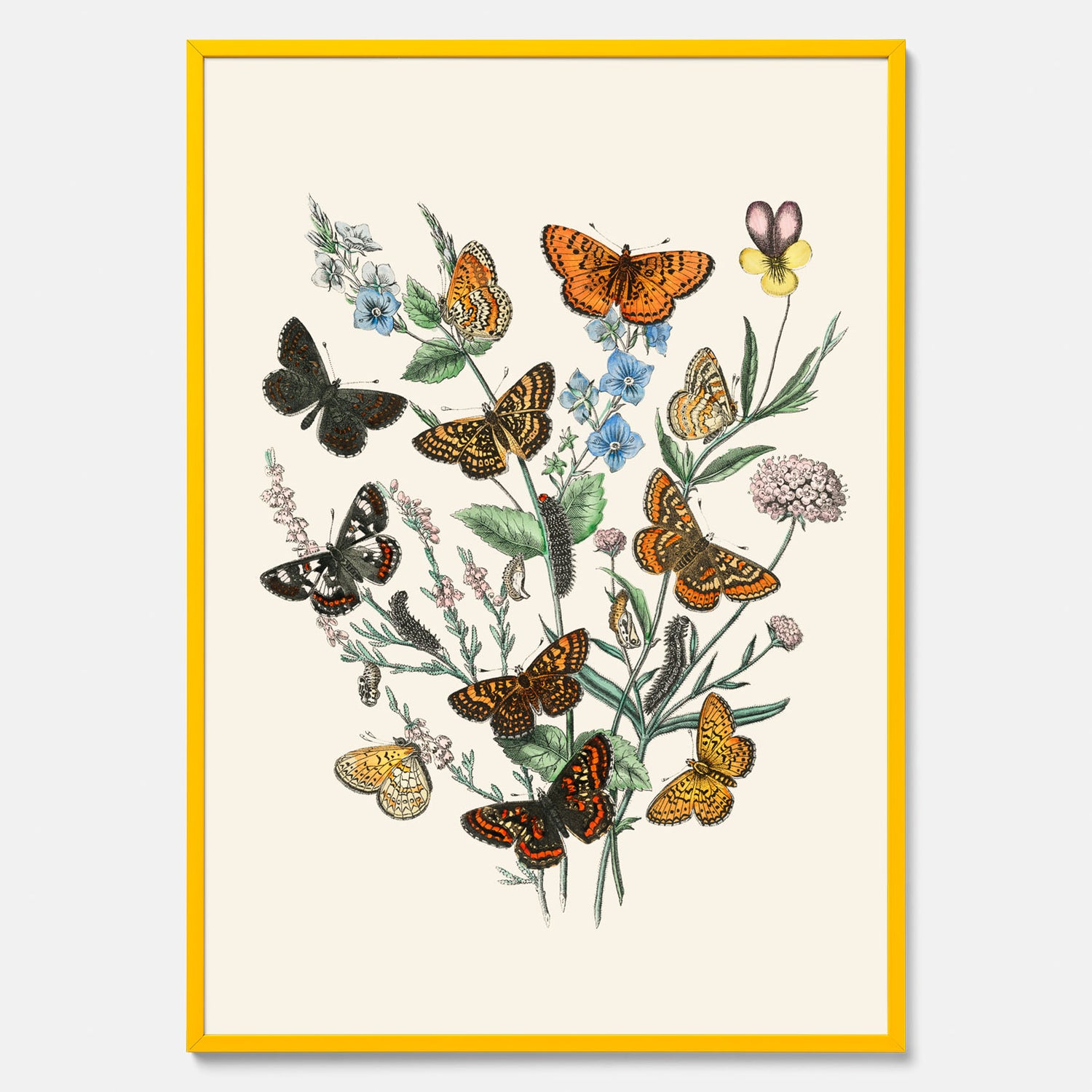 Poster med en illustration av fjärilar