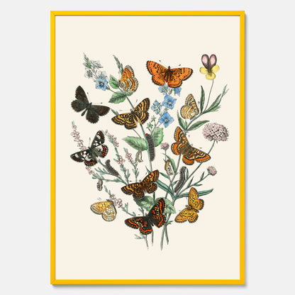 Poster med en illustration av fjärilar