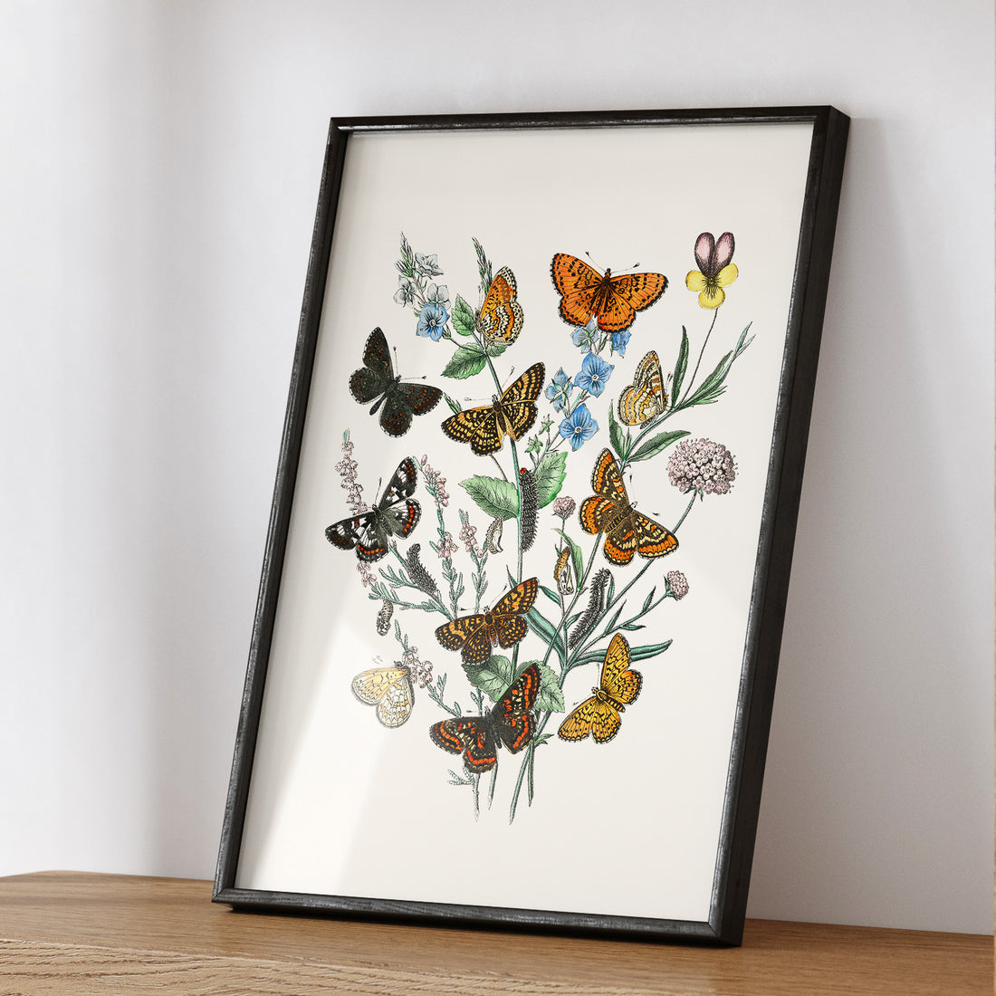 Poster med en illustration av fjärilar