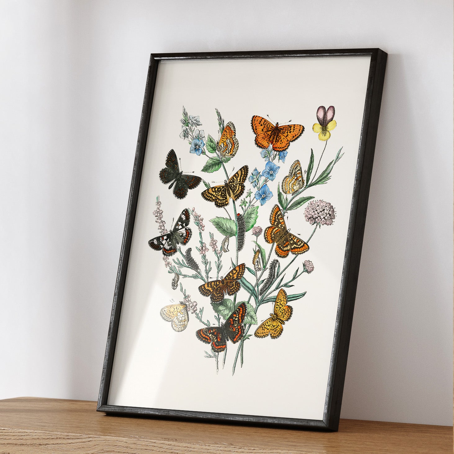 Poster med en illustration av fjärilar