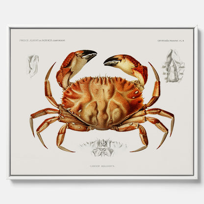 Kökstavla som canvas med Krabba Poster – Poster till kök, skaldjur, köksposter, tavla till kök