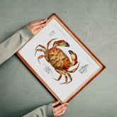 Kökstavla med Krabba Poster – Poster till kök, skaldjur, köksposter, tavla till kök
