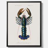 Kökstavla på canvas med Hummer poster till kök, hummerposter, skaldjur, köksposter, tavla till kök
