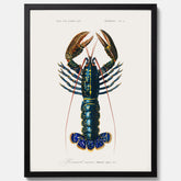 Kökstavla med Hummer poster till kök, hummerposter, skaldjur, köksposter, tavla till kök