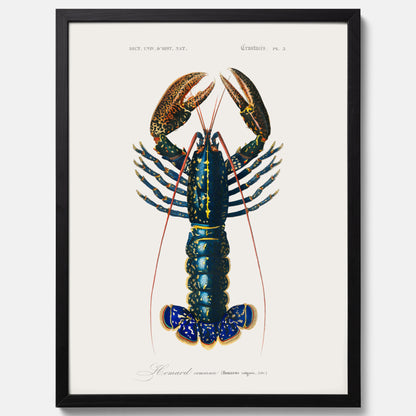 Kökstavla med Hummer poster till kök, hummerposter, skaldjur, köksposter, tavla till kök