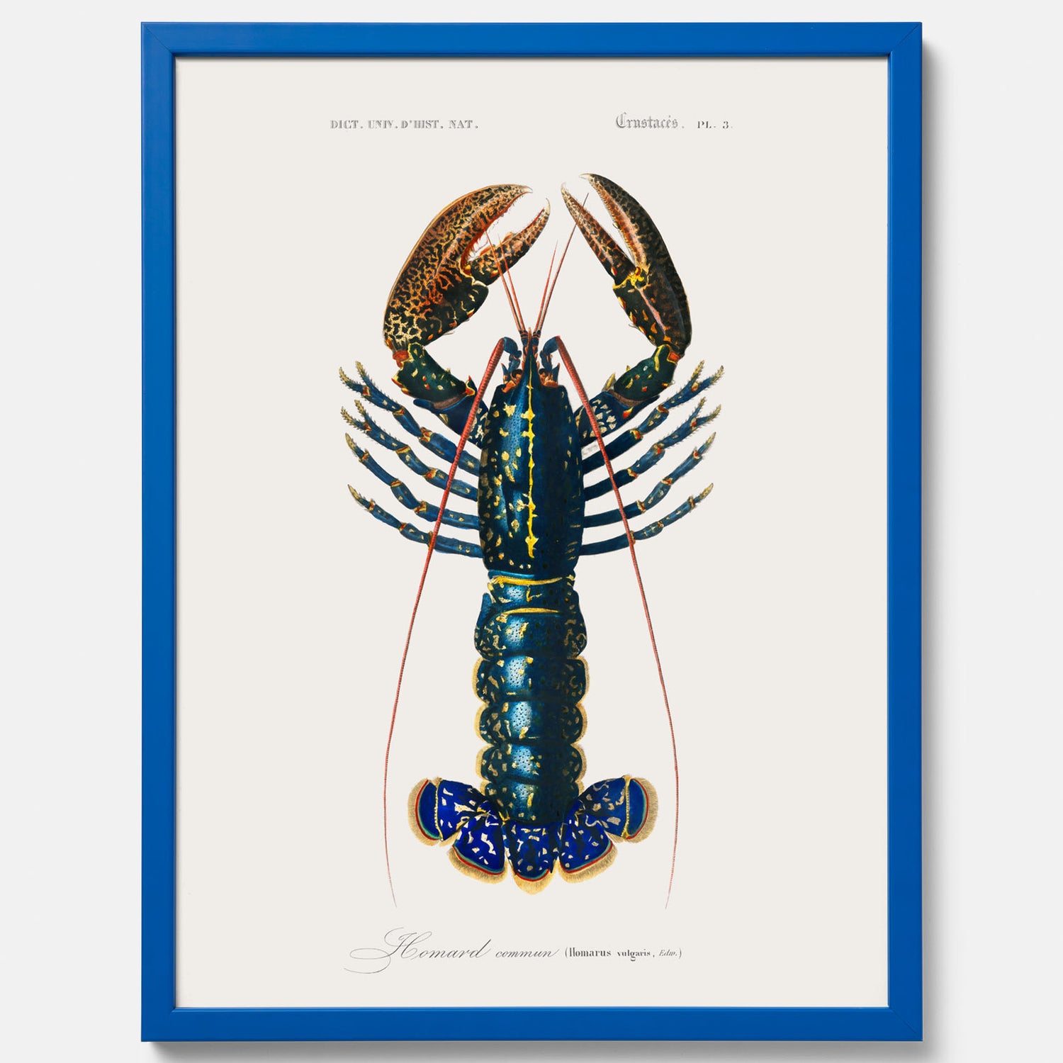 Kökstavla med Hummer poster till kök, hummerposter, skaldjur, köksposter, tavla till kök