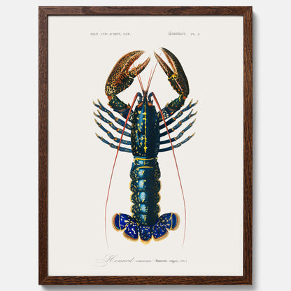 Kökstavla med Hummer poster till kök, hummerposter, skaldjur, köksposter, tavla till kök
