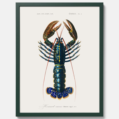 Kökstavla med Hummer poster till kök, hummerposter, skaldjur, köksposter, tavla till kök