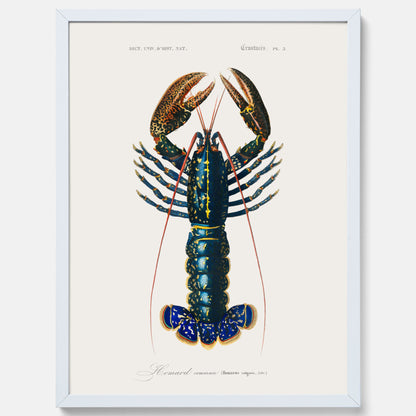 Kökstavla med Hummer poster till kök, hummerposter, skaldjur, köksposter, tavla till kök