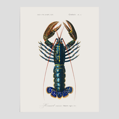 Kökstavla med Hummer poster till kök, hummerposter, skaldjur, köksposter, tavla till kök