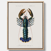 Kökstavla på canvas med Hummer poster till kök, hummerposter, skaldjur, köksposter, tavla till kök