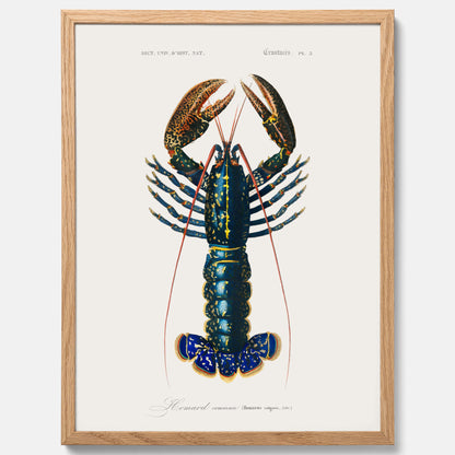 Kökstavla med Hummer poster till kök, hummerposter, skaldjur, köksposter, tavla till kök