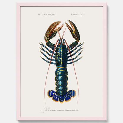 Kökstavla med Hummer poster till kök, hummerposter, skaldjur, köksposter, tavla till kök