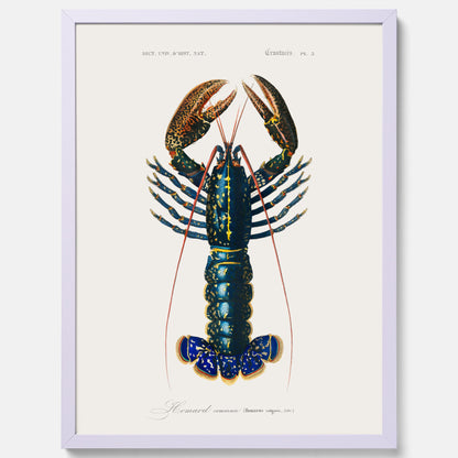Kökstavla med Hummer poster till kök, hummerposter, skaldjur, köksposter, tavla till kök