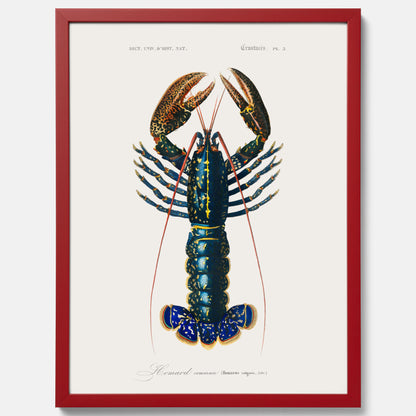 Kökstavla med Hummer poster till kök, hummerposter, skaldjur, köksposter, tavla till kök