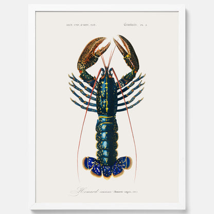 Kökstavla med Hummer poster till kök, hummerposter, skaldjur, köksposter, tavla till kök