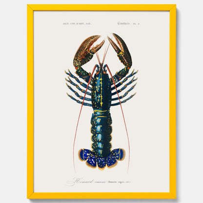 Kökstavla med Hummer poster till kök, hummerposter, skaldjur, köksposter, tavla till kök