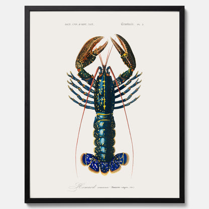 Kökstavla med Hummer poster till kök, hummerposter, skaldjur, köksposter, tavla till kök