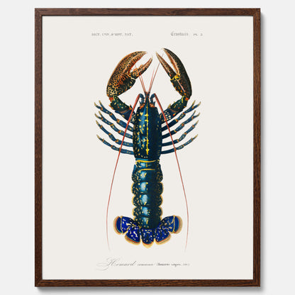 Kökstavla med Hummer poster till kök, hummerposter, skaldjur, köksposter, tavla till kök