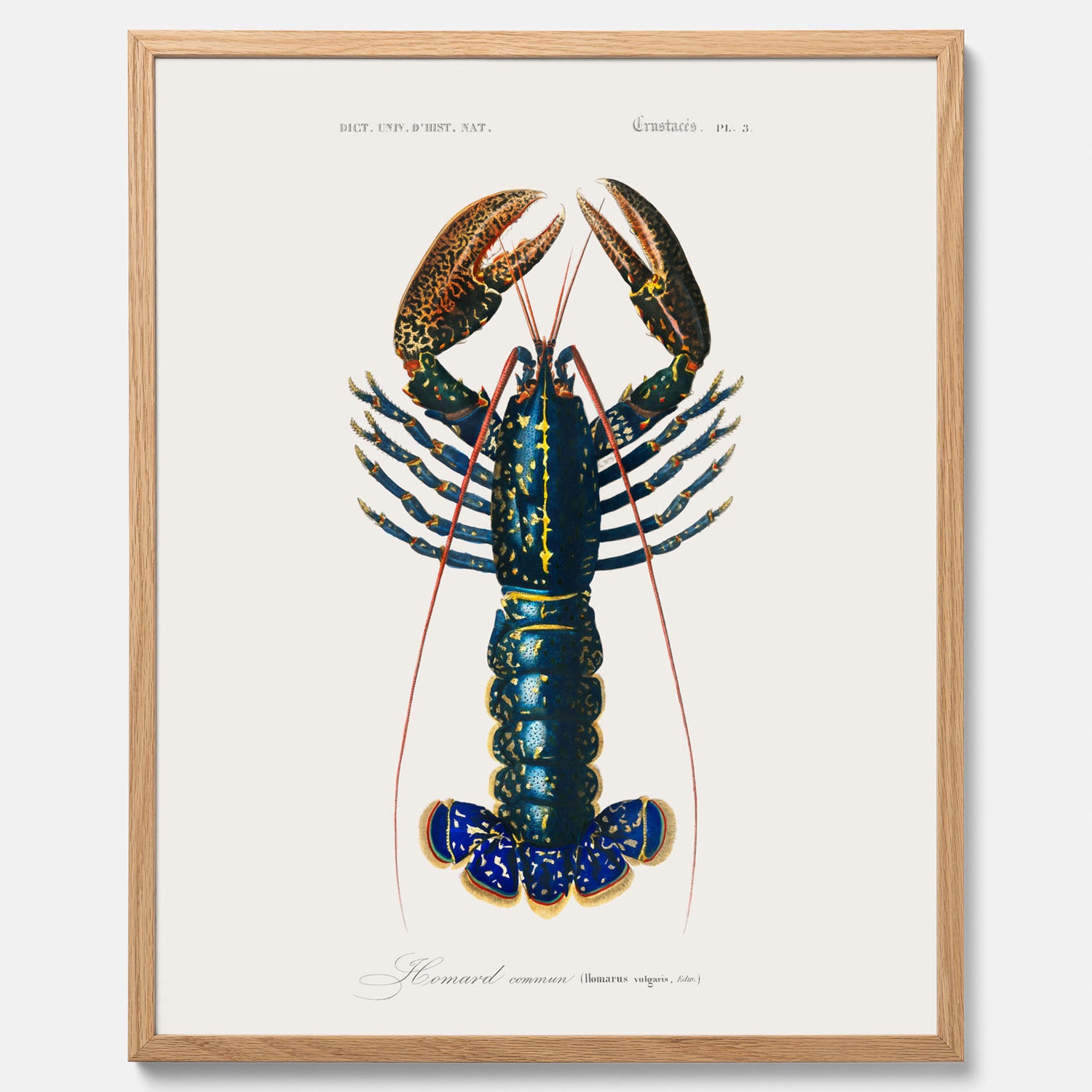 Kökstavla med Hummer poster till kök, hummerposter, skaldjur, köksposter, tavla till kök
