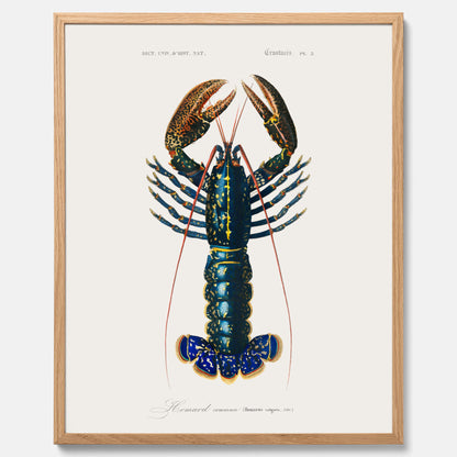 Kökstavla med Hummer poster till kök, hummerposter, skaldjur, köksposter, tavla till kök