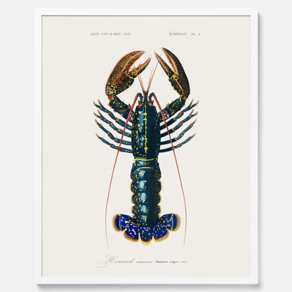 Kökstavla med Hummer poster till kök, hummerposter, skaldjur, köksposter, tavla till kök