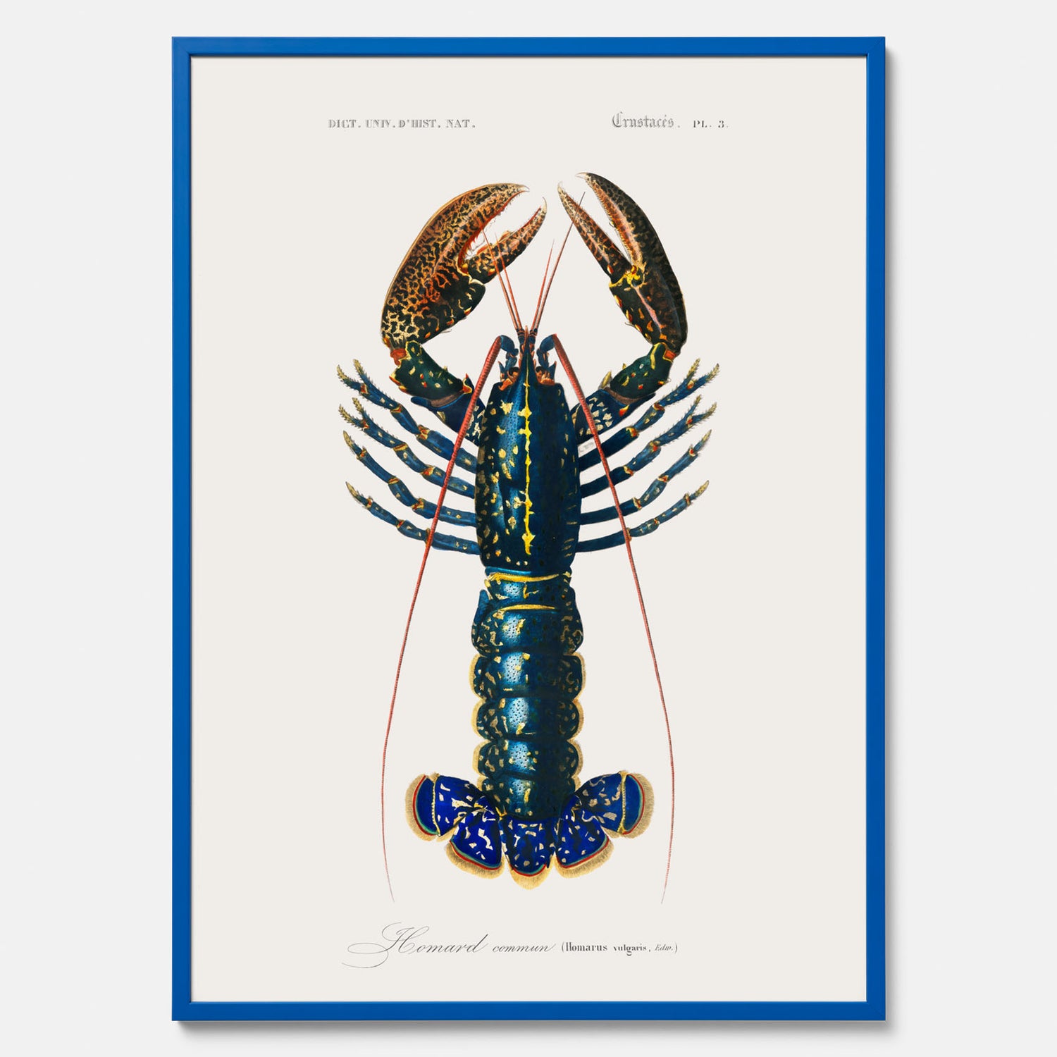 Kökstavla med Hummer poster till kök, hummerposter, skaldjur, köksposter, tavla till kök