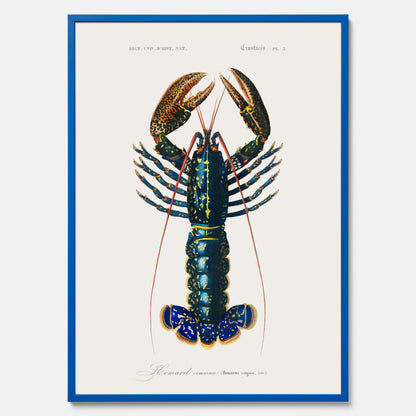 Kökstavla med Hummer poster till kök, hummerposter, skaldjur, köksposter, tavla till kök