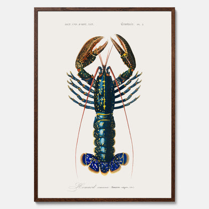 Kökstavla med Hummer poster till kök, hummerposter, skaldjur, köksposter, tavla till kök