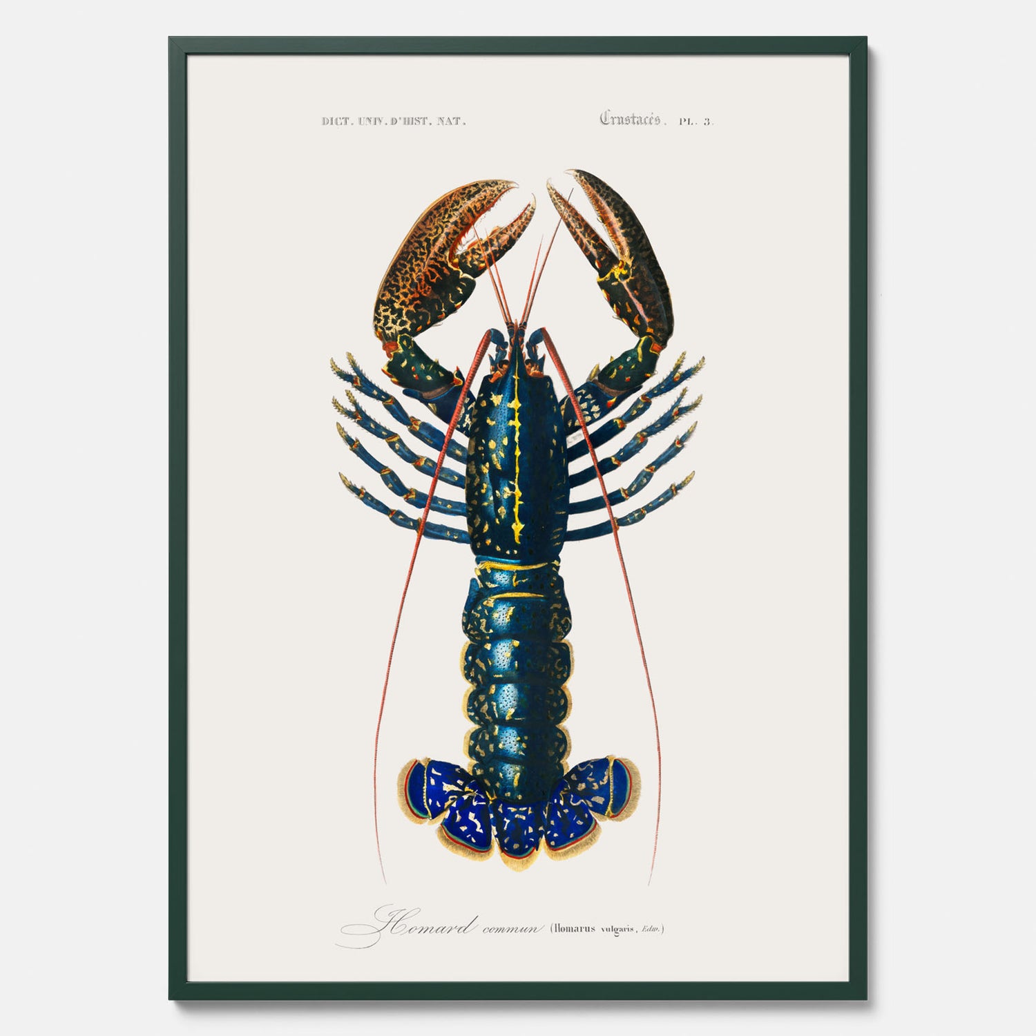 Kökstavla med Hummer poster till kök, hummerposter, skaldjur, köksposter, tavla till kök