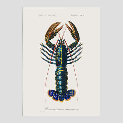 Kökstavla med Hummer poster till kök, hummerposter, skaldjur, köksposter, tavla till kök
