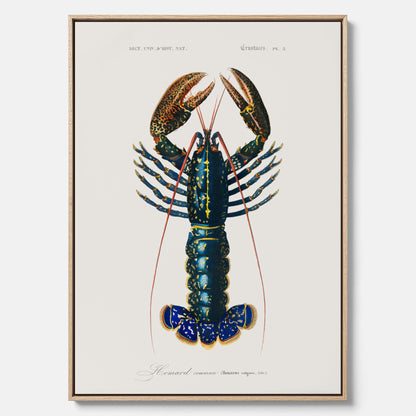 Kökstavla på canvas med Hummer poster till kök, hummerposter, skaldjur, köksposter, tavla till kök