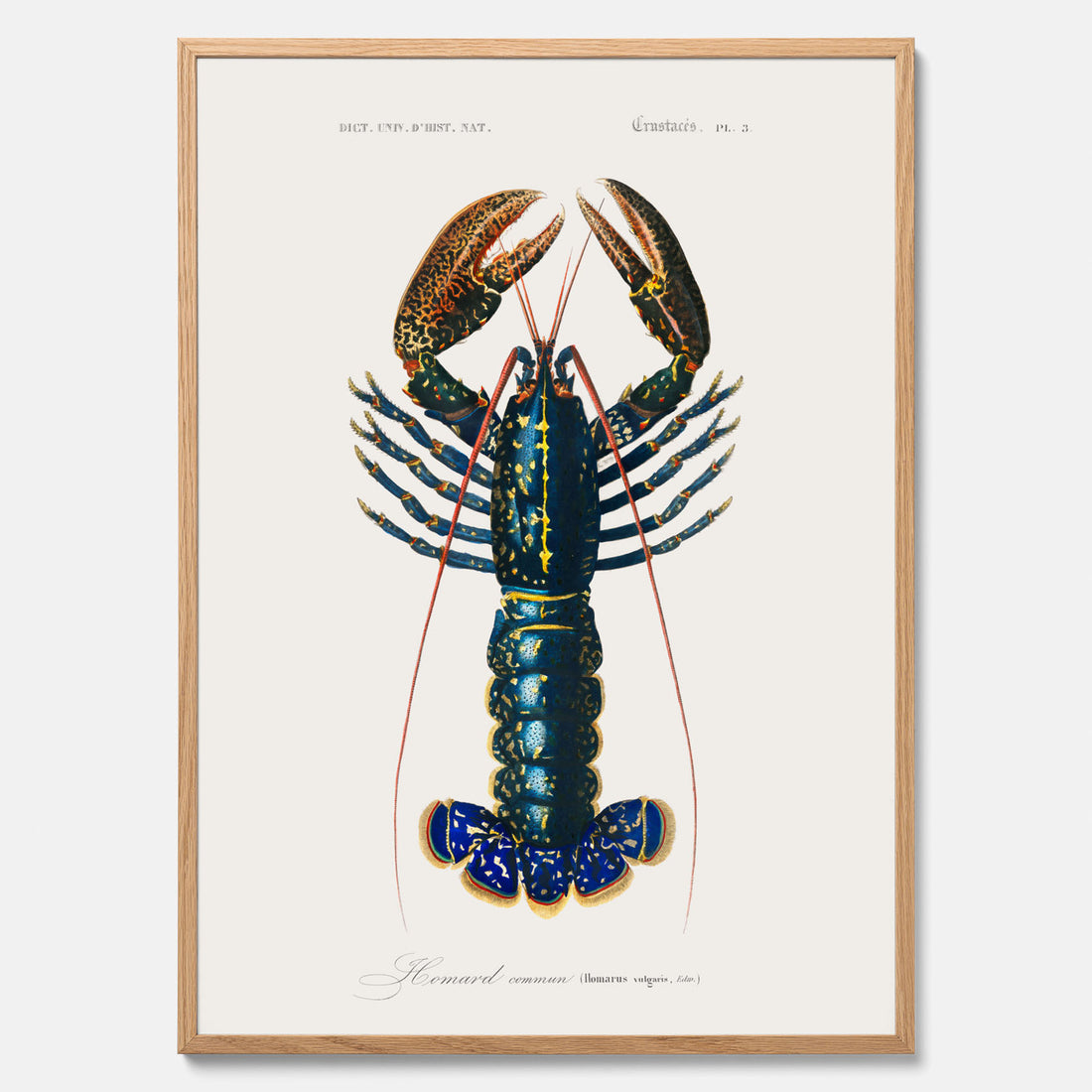 Kökstavla med Hummer poster till kök, hummerposter, skaldjur, köksposter, tavla till kök