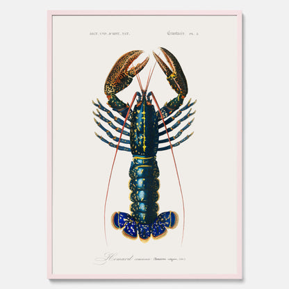 Kökstavla med Hummer poster till kök, hummerposter, skaldjur, köksposter, tavla till kök