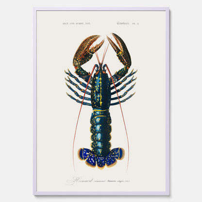 Kökstavla med Hummer poster till kök, hummerposter, skaldjur, köksposter, tavla till kök