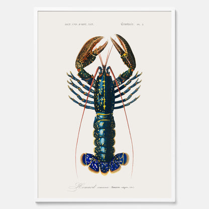 Kökstavla med Hummer poster till kök, hummerposter, skaldjur, köksposter, tavla till kök