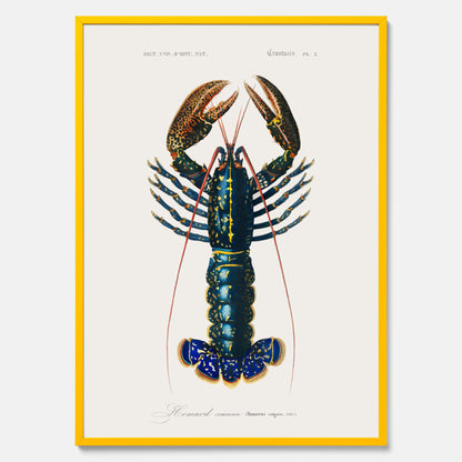 Kökstavla med Hummer poster till kök, hummerposter, skaldjur, köksposter, tavla till kök