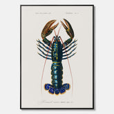 Kökstavla på canvas med Hummer poster till kök, hummerposter, skaldjur, köksposter, tavla till kök