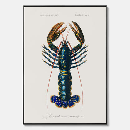 Kökstavla på canvas med Hummer poster till kök, hummerposter, skaldjur, köksposter, tavla till kök
