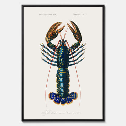Kökstavla med Hummer poster till kök, hummerposter, skaldjur, köksposter, tavla till kök