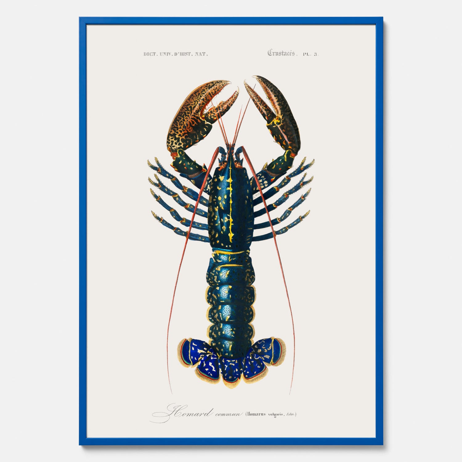 Kökstavla med Hummer poster till kök, hummerposter, skaldjur, köksposter, tavla till kök
