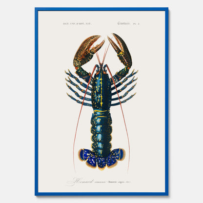 Kökstavla med Hummer poster till kök, hummerposter, skaldjur, köksposter, tavla till kök