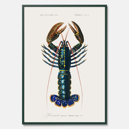 Kökstavla med Hummer poster till kök, hummerposter, skaldjur, köksposter, tavla till kök
