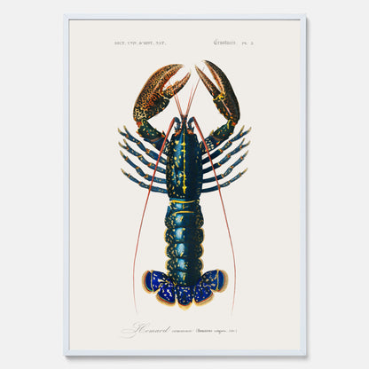 Kökstavla med Hummer poster till kök, hummerposter, skaldjur, köksposter, tavla till kök