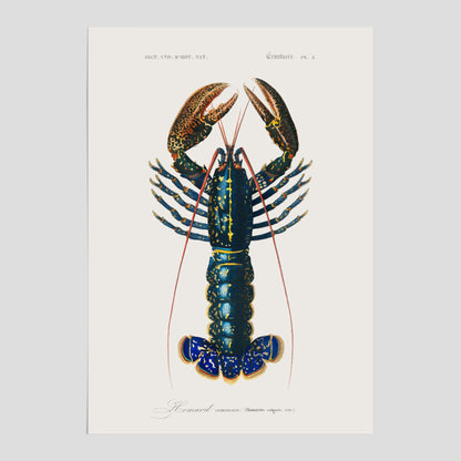 Kökstavla med Hummer poster till kök, hummerposter, skaldjur, köksposter, tavla till kök