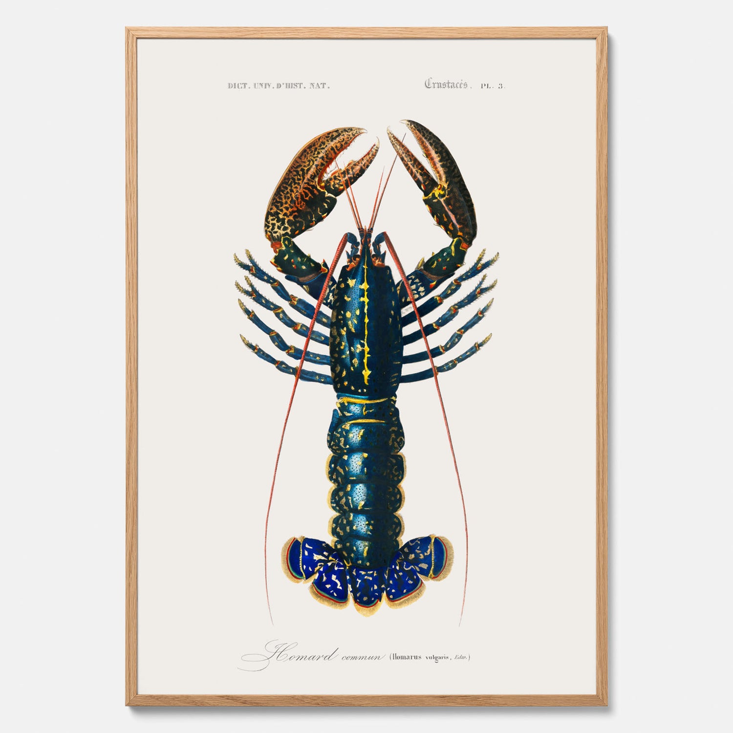 Kökstavla med Hummer poster till kök, hummerposter, skaldjur, köksposter, tavla till kök