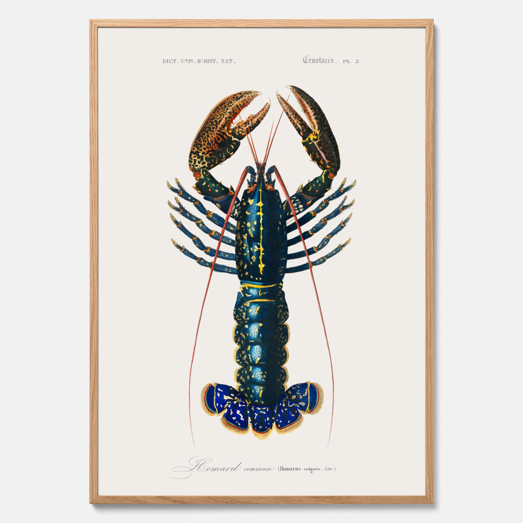 Kökstavla med Hummer poster till kök, hummerposter, skaldjur, köksposter, tavla till kök
