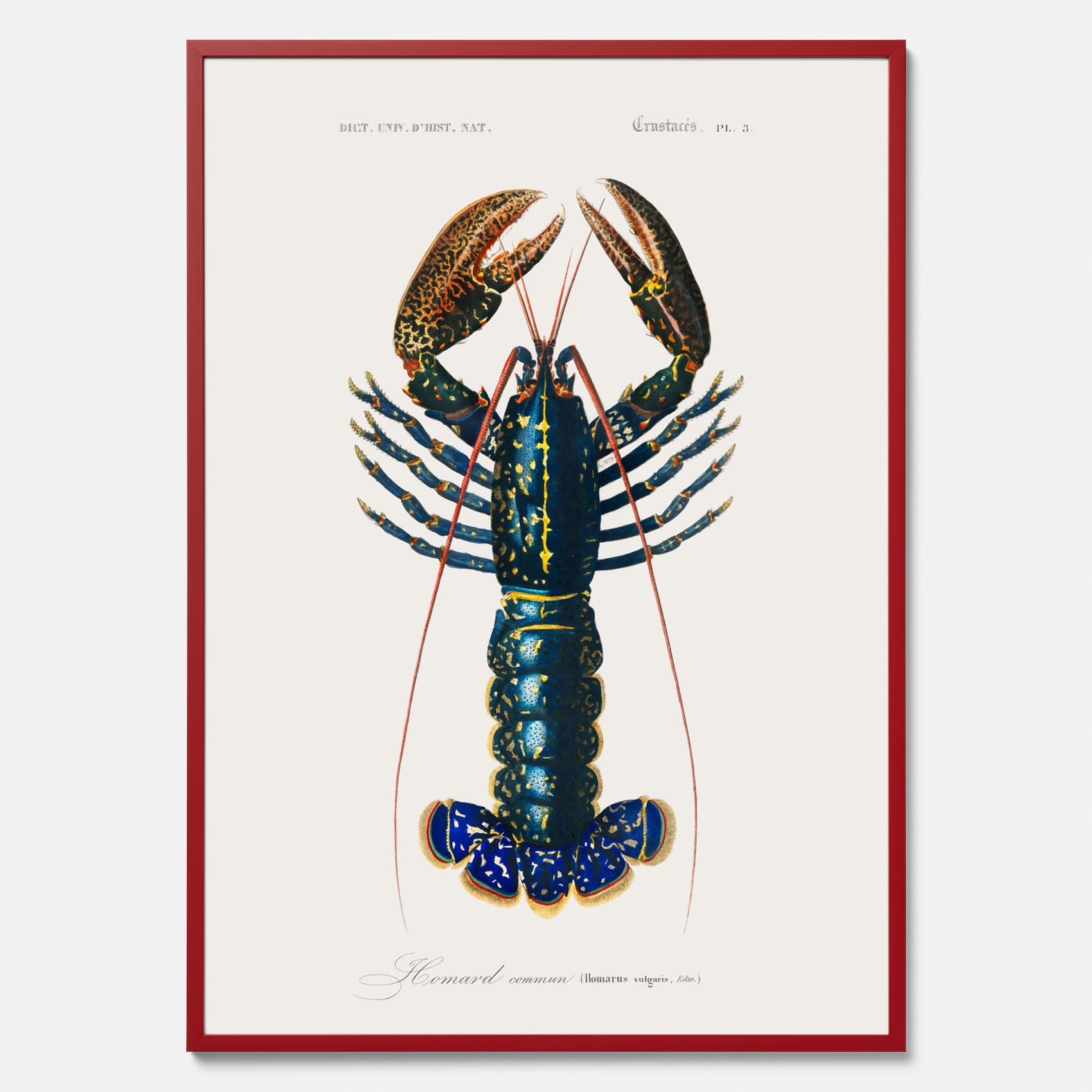 Kökstavla med Hummer poster till kök, hummerposter, skaldjur, köksposter, tavla till kök