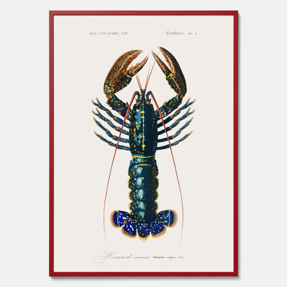 Kökstavla med Hummer poster till kök, hummerposter, skaldjur, köksposter, tavla till kök